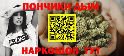 шишки Будённовск