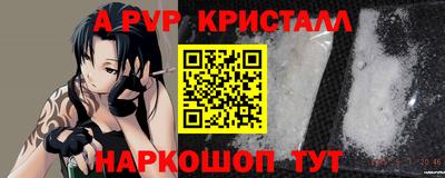шишки Будённовск